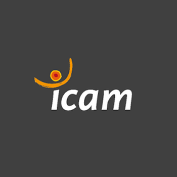 ICAM Catholic Institute of Engineering