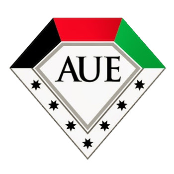 American University in the Emirates (AUE) 