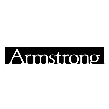 Armstrong Atlantic State University